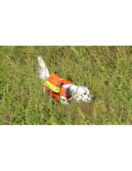 GILLET DE SIGNALISATION FLASH V2 CANIHUNT