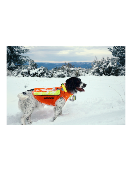 Gilet de signalisation Flash V2 Taille S pour chien de chasse - Canihunt -  ProChasse