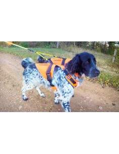 HARNAIS SIGNAL CANIHUNT 2