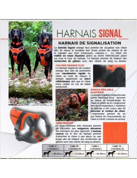 HARNAIS SIGNAL CANIHUNT