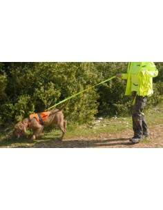 LONGE CONFORT ANTIDÉRAPANTE CANIHUNT 2