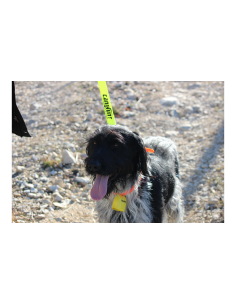 LAISSE HUNTER 120 CM CANIHUNT 2