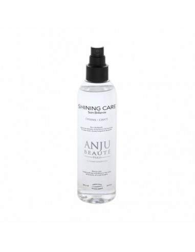 Shining care Anju beauté