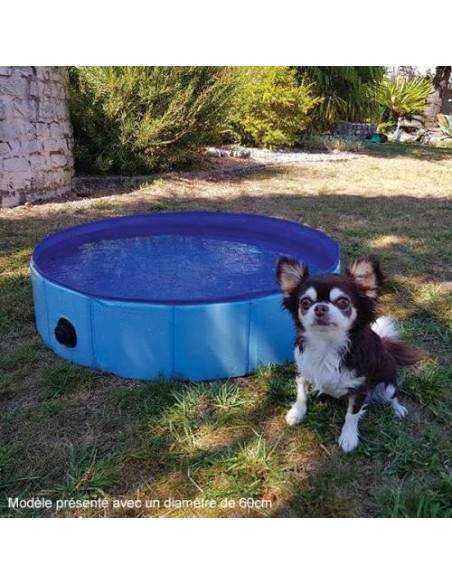 Piscine pour chien