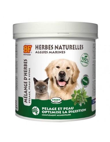 Herbes naturelles pour chien et chat Biofood