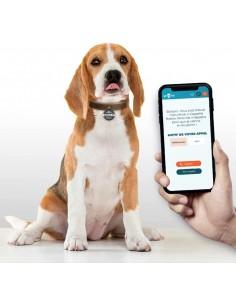 Médaille digitalisée SPOORS 2