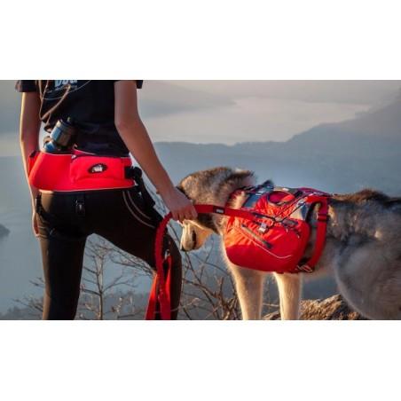 BAUDRIER CONFORT TREK I-DOG