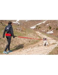 LONGE CONFORT TREK I-DOG 2