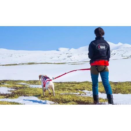 LONGE CONFORT TREK I-DOG