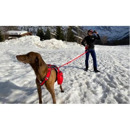 LONGE CONFORT TREK I-DOG