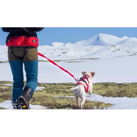 LONGE CONFORT TREK I-DOG