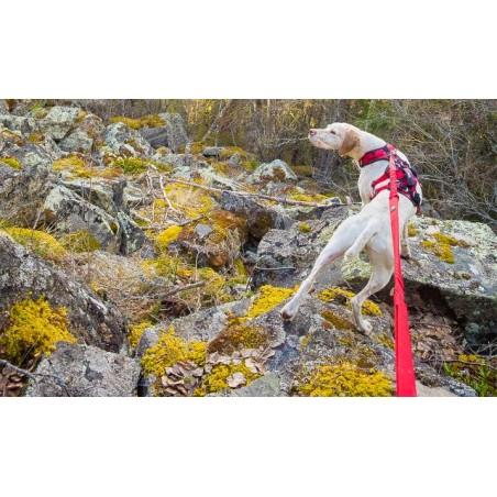 LONGE CONFORT TREK I-DOG