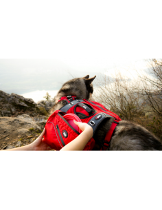 SACOCHES CONFORT TREK 2