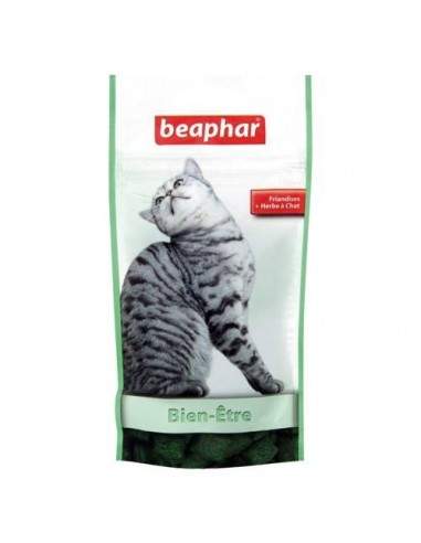 Friandises Beaphar Catnip bits