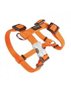 Harnais réglable Red Dingo Basic orange