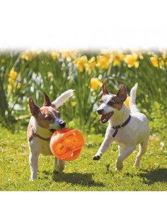 KONG® Jumbler Football