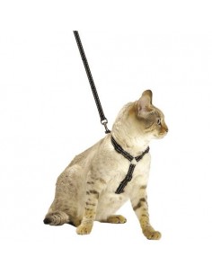 Kit harnais et laisse Safe noir