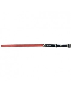 Collier chat porte adresse rouge