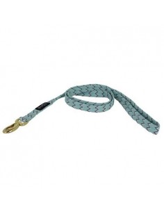 Laisse nylon Brasil Doogy