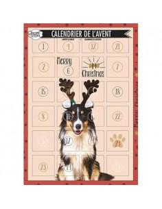 Calendrier de l'avent pour chiens