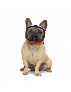 Muselière brachycéphale