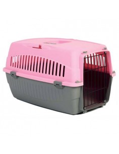 Transporteur Messager Une Porte Rose