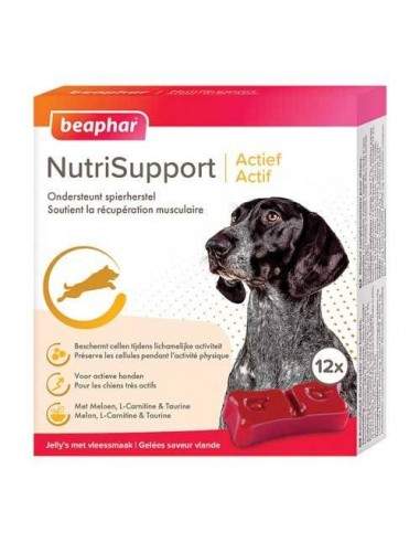 Beaphar NutriSupport spécial chien actif