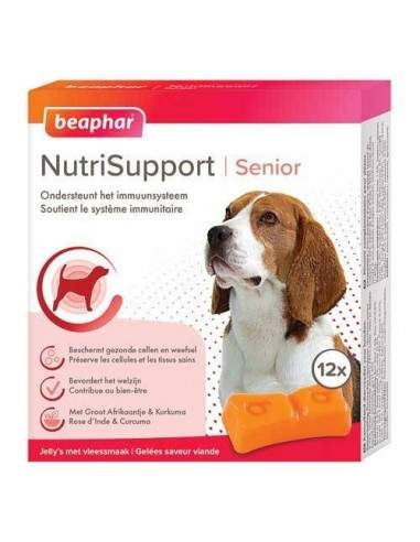 Beaphar NutriSupport spécial chien senior