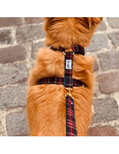 Laisse OH MY LORD - BANDIT 2