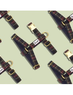 Harnais OH MY LORD - BANDIT