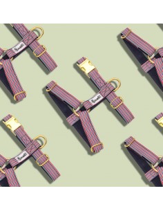 Harnais FRENCH BANBAN - BANDIT