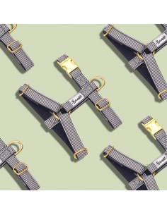 Harnais IN THE NAVY - BANDIT