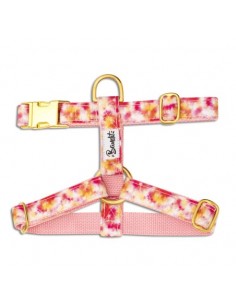 Harnais BANDIKINI - BANDIT 2