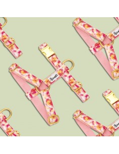 Harnais BANDIKINI - BANDIT