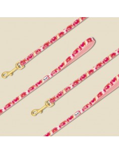 Laisse BANDIKINI - BANDIT