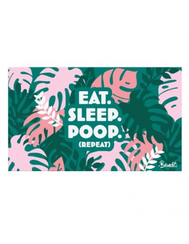 Tapis de gamelle EAT SLEEP POOP - BANDIT