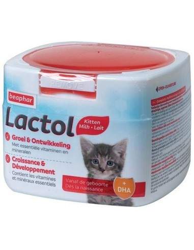 Lait maternisé pour chaton