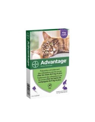 Pipettes Advantage Chats et Lapins de 4 kg et plus