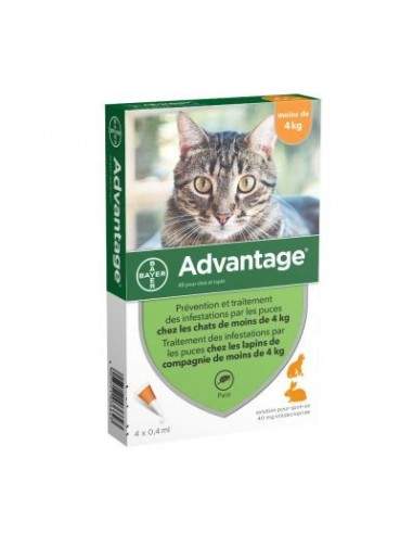 Pipettes Advantage Chats et Lapins de moins de 4 kg