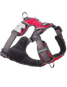 Harnais Red Dingo Rembourrés 2