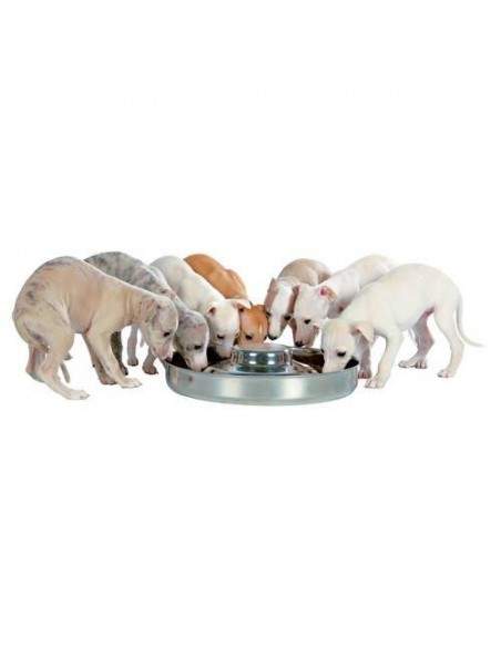 Gamelle en Inox pour chiots