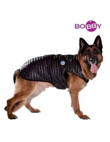 manteau gros chien