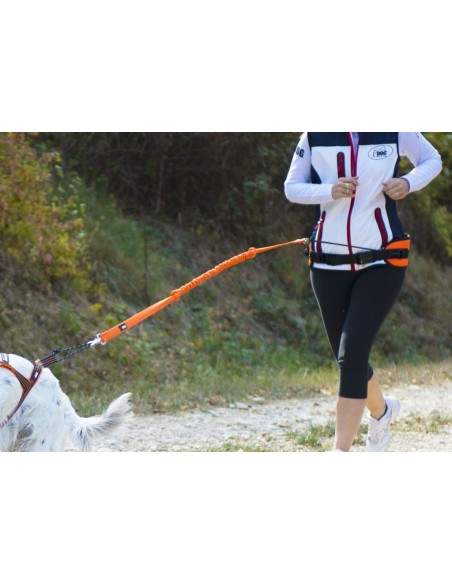 CEINTURE CANICROSS ONE I-DOG