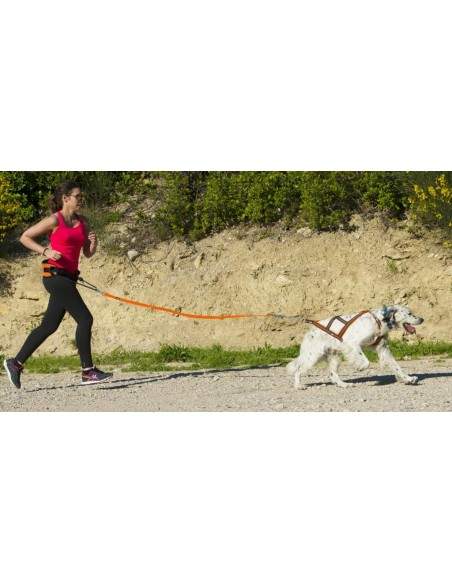 CEINTURE CANICROSS ONE I-DOG