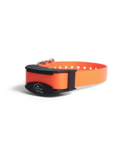 COLLIER SUPPLEMENTAIRE PETIT CHIEN SPORTDOG