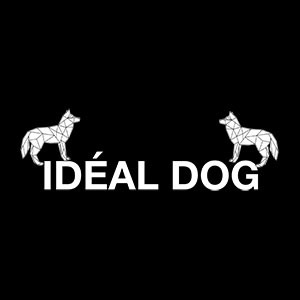 Idealdog