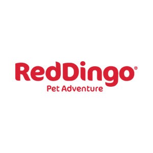 Red dingo